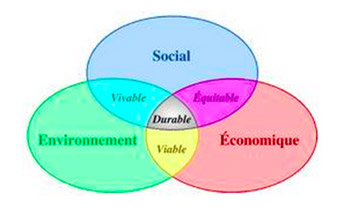 analyses de risques dans les 3 domaines : économique, social et environnemental.
