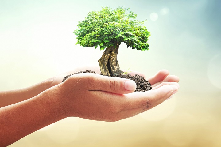 Quelles sont les missions et les objectifs d’un service achats ?